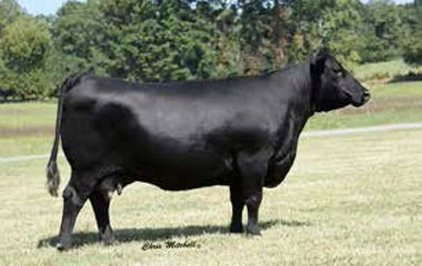 Lot 28 - 914U HIGHMORE 638D ET